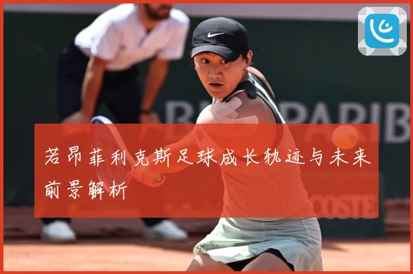 若昂菲利克斯足球成长轨迹与未来前景解析