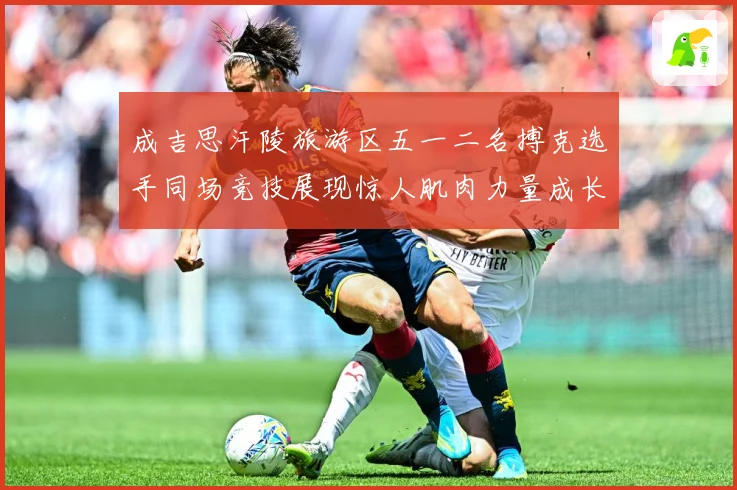 成吉思汗陵旅游区五一二名搏克选手同场竞技展现惊人肌肉力量成长观察