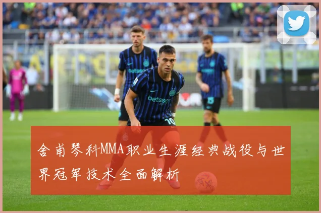 舍甫琴科MMA职业生涯经典战役与世界冠军技术全面解析