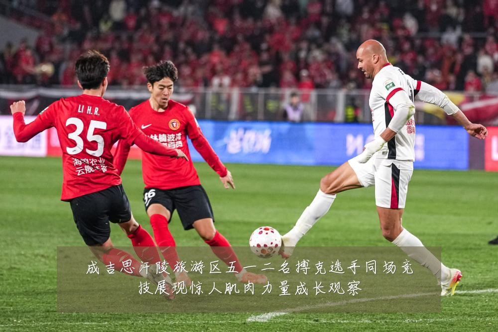 成吉思汗陵旅游区五一二名搏克选手同场竞技展现惊人肌肉力量成长观察
