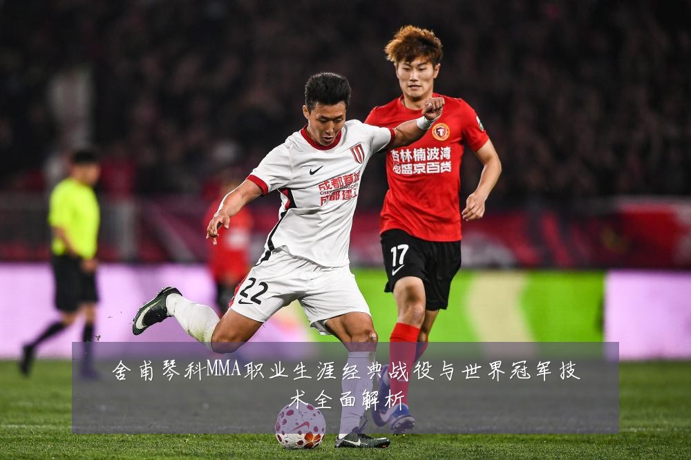 舍甫琴科MMA职业生涯经典战役与世界冠军技术全面解析